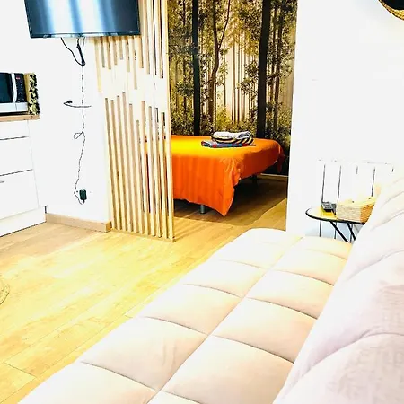 Апартаменты Annexe St Armand 1 *